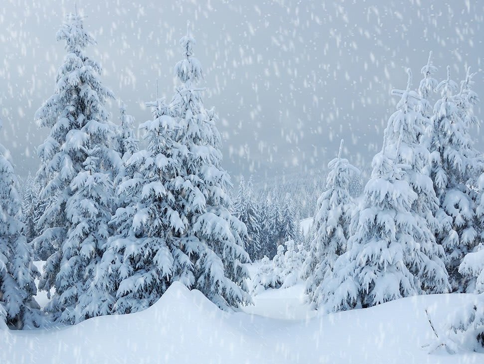 2016-november-03-how-snowy