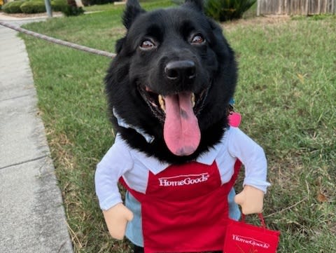 Maverick