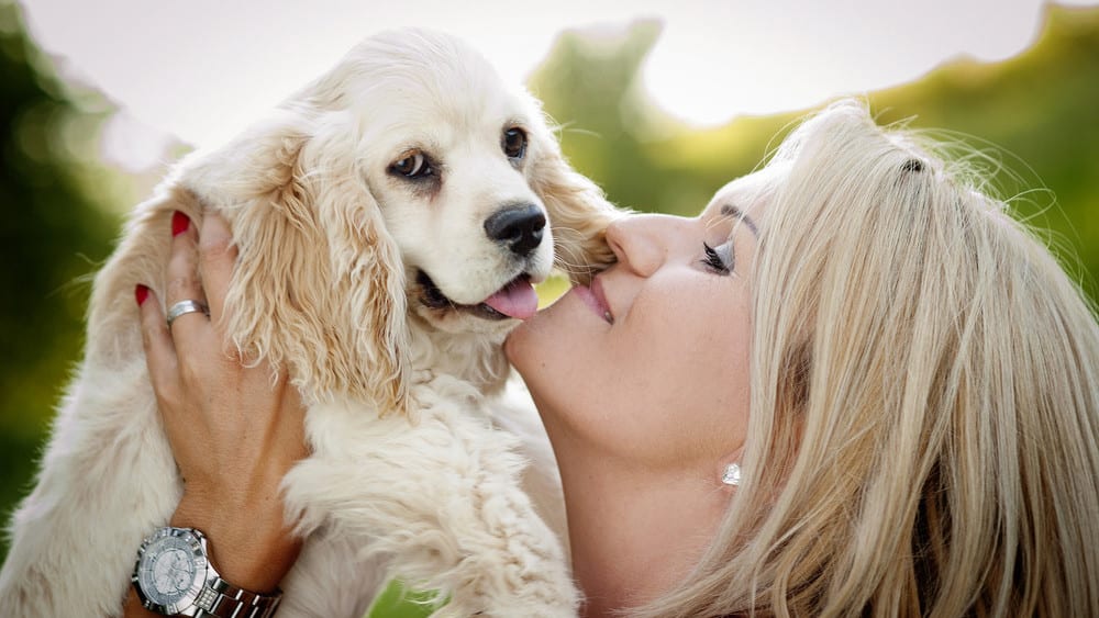 commemorate-your-beloved-pet