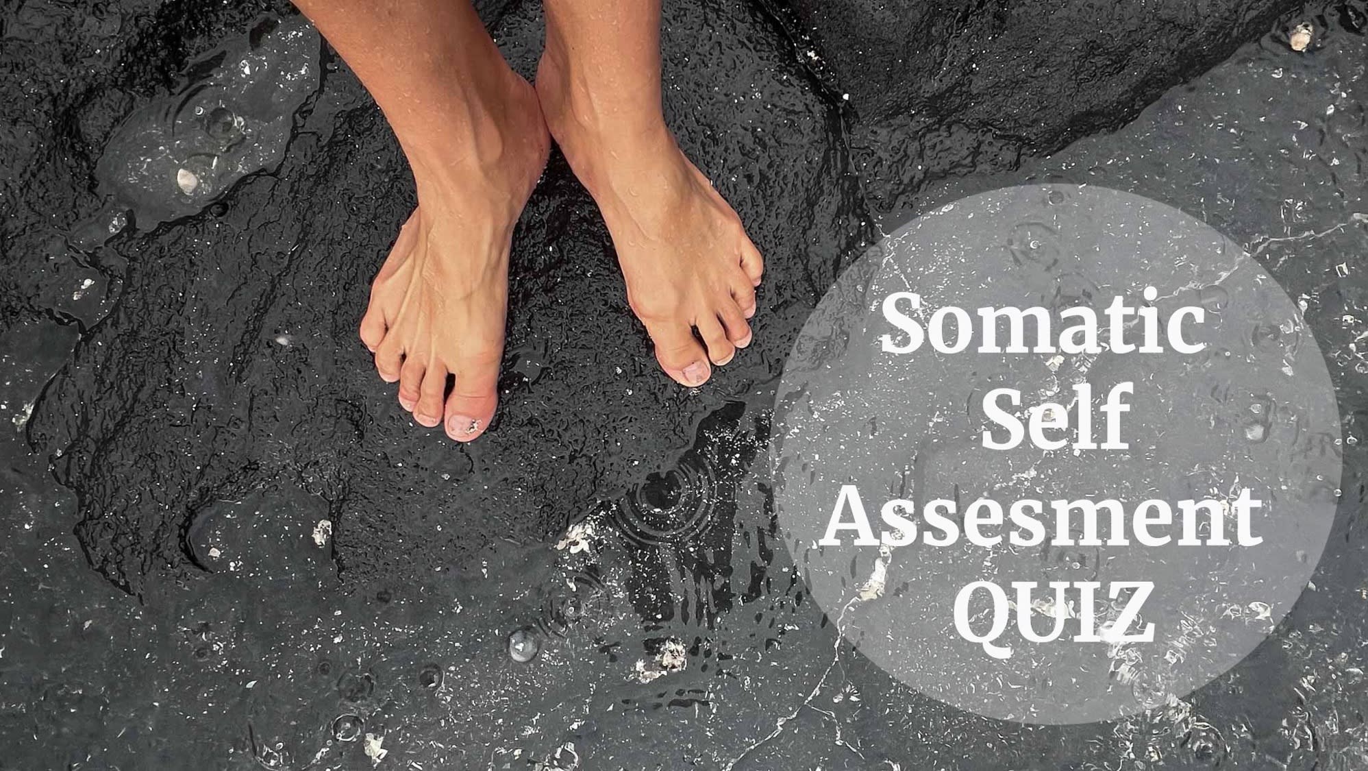 somatic self assesment