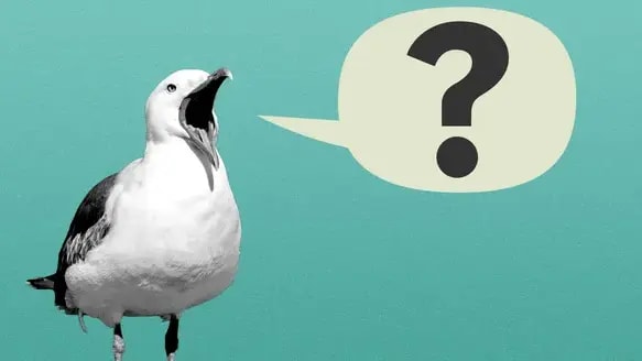 203649-1657831009340