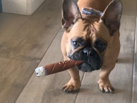 Waylon