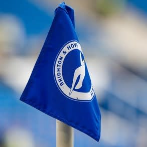 brighton--hove-albion-corner-flag-american-440nw-12449179g