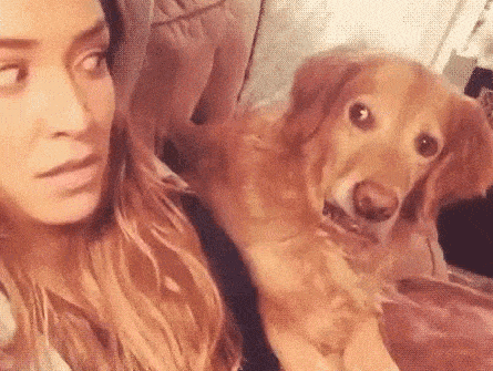 Side eye dog and owner