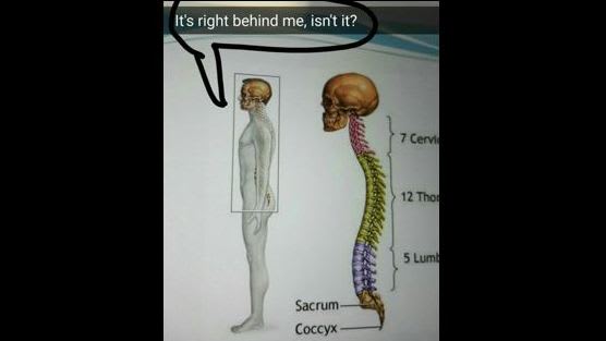 long behe