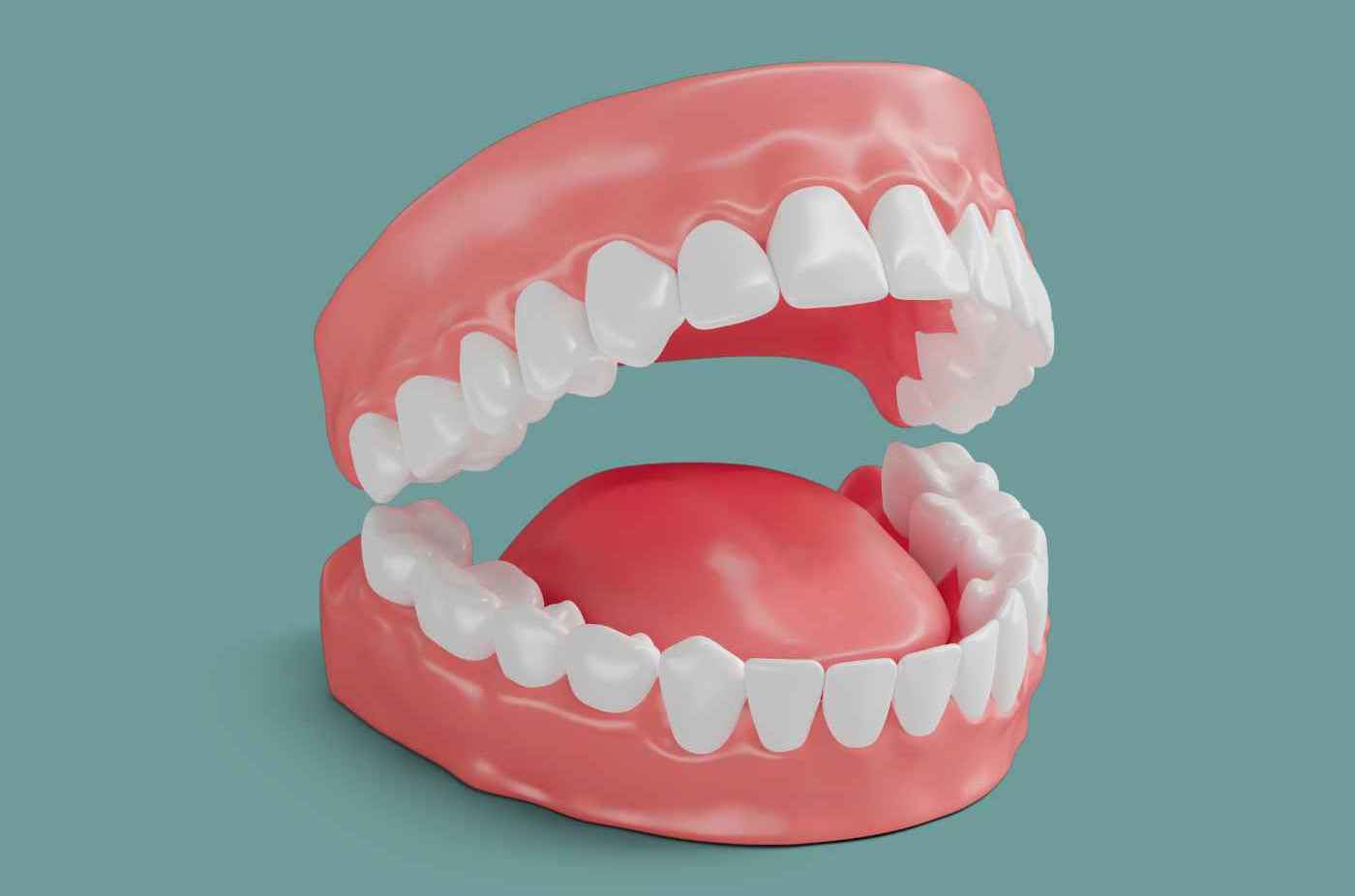How-Many-Teeth-Do-Adults-Have