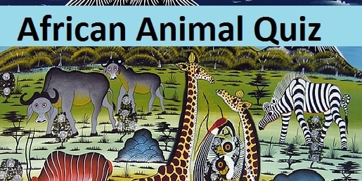 African Animal Quiz