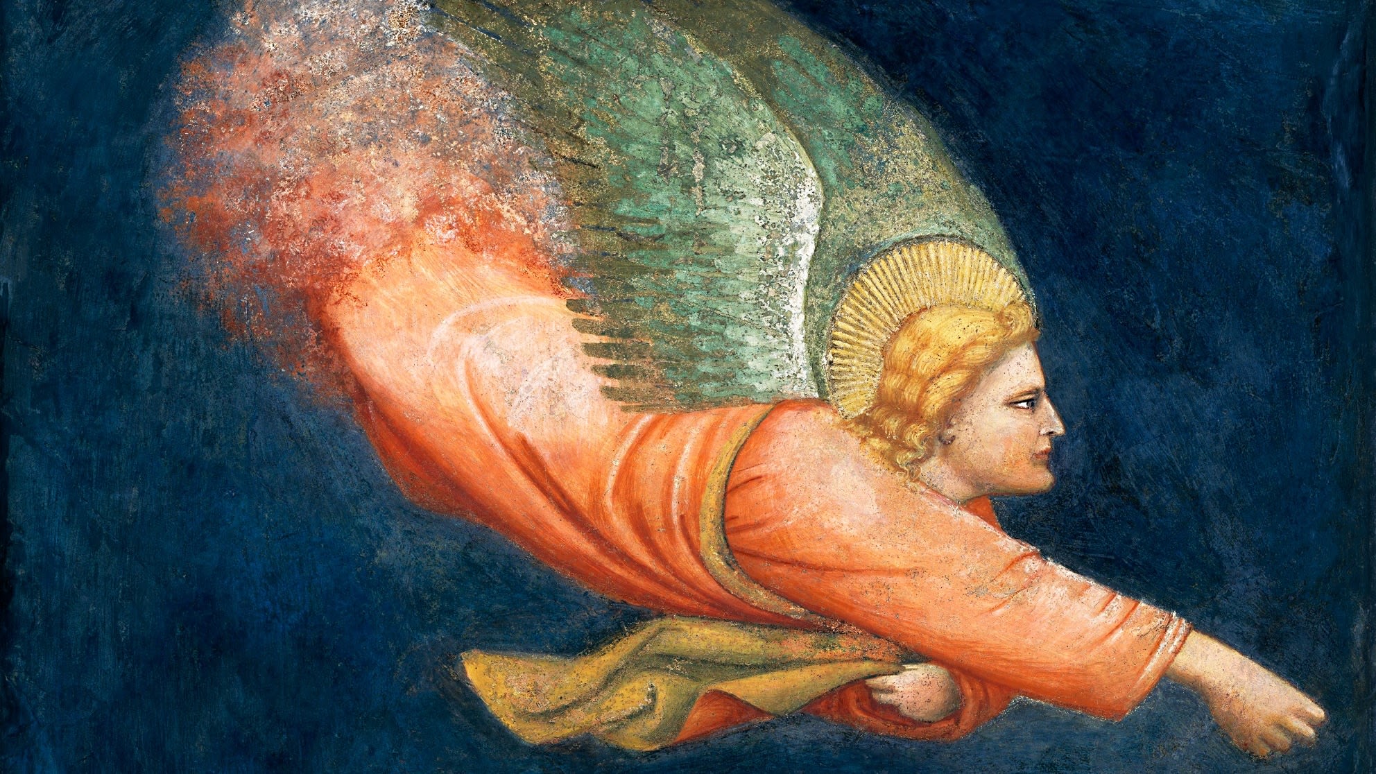 image-from-rawpixel-id-2425423-jpeg