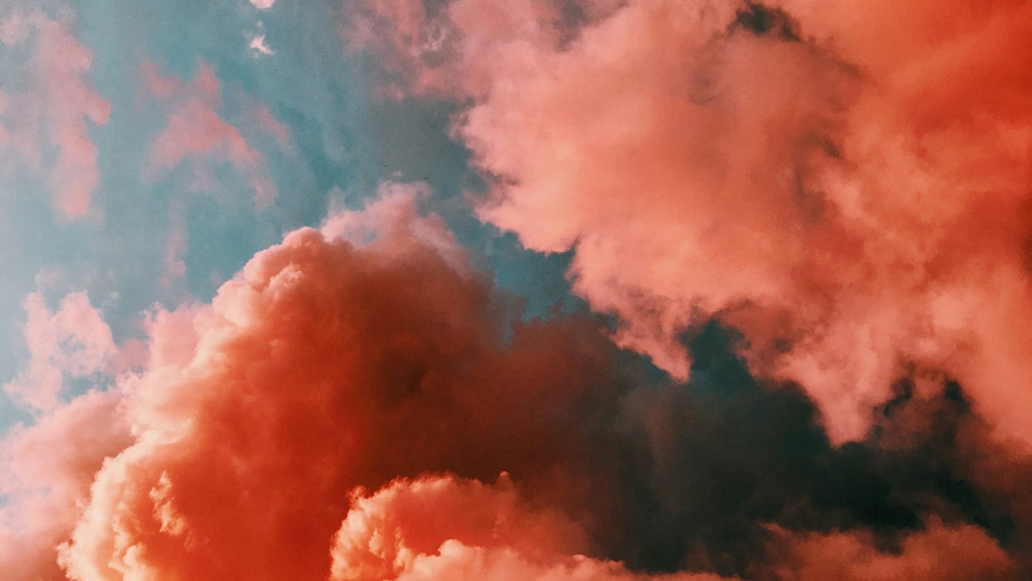 💖 Feral Softie Himbo