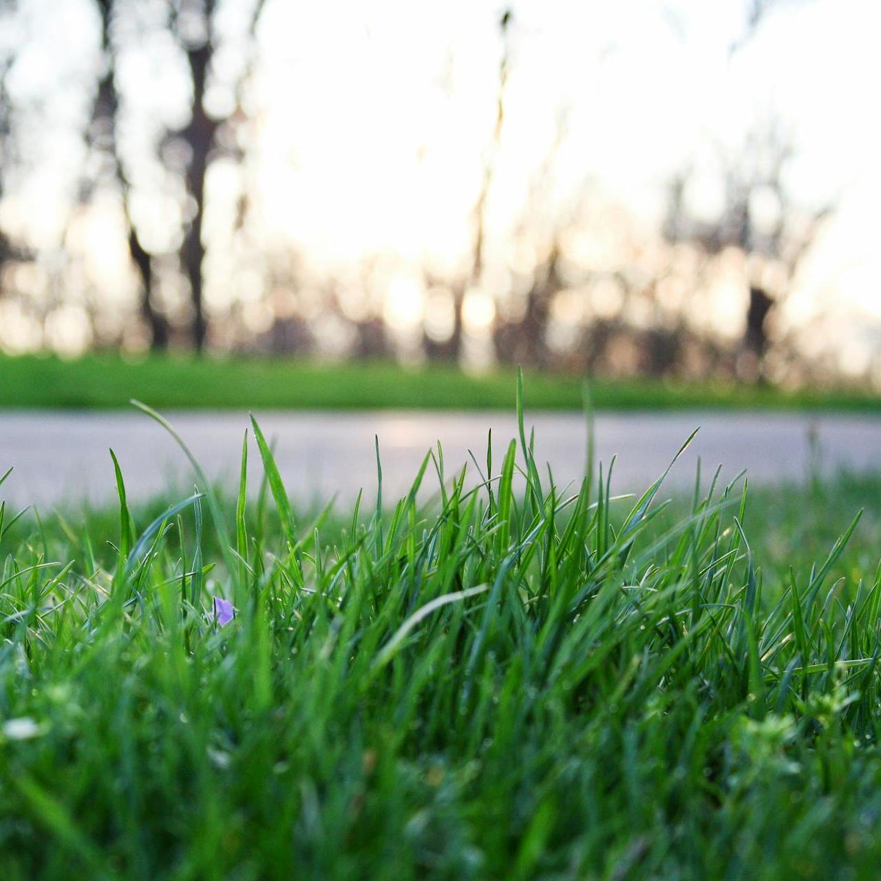 pexels-mattycphoto-777015(1)