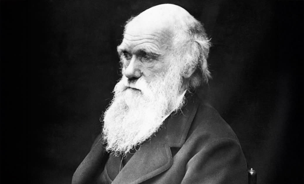 Darwin