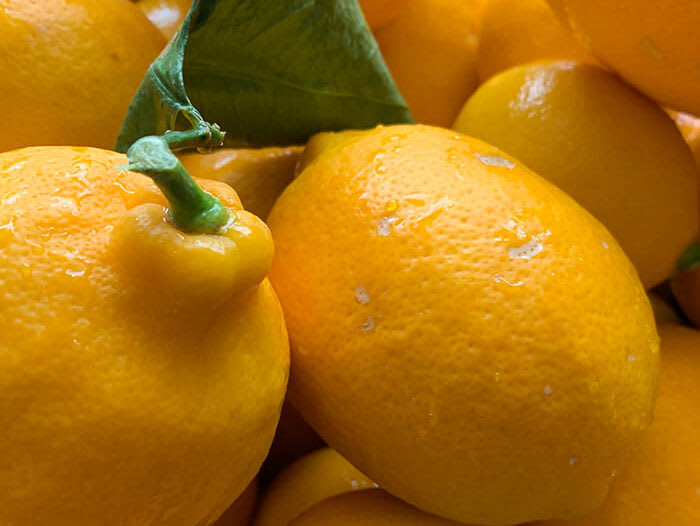 lemon_story_confiture_citron_meyer_04