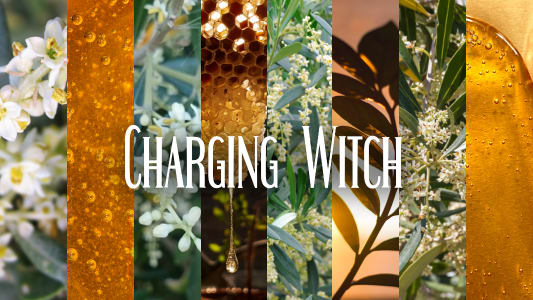 Charging Witch