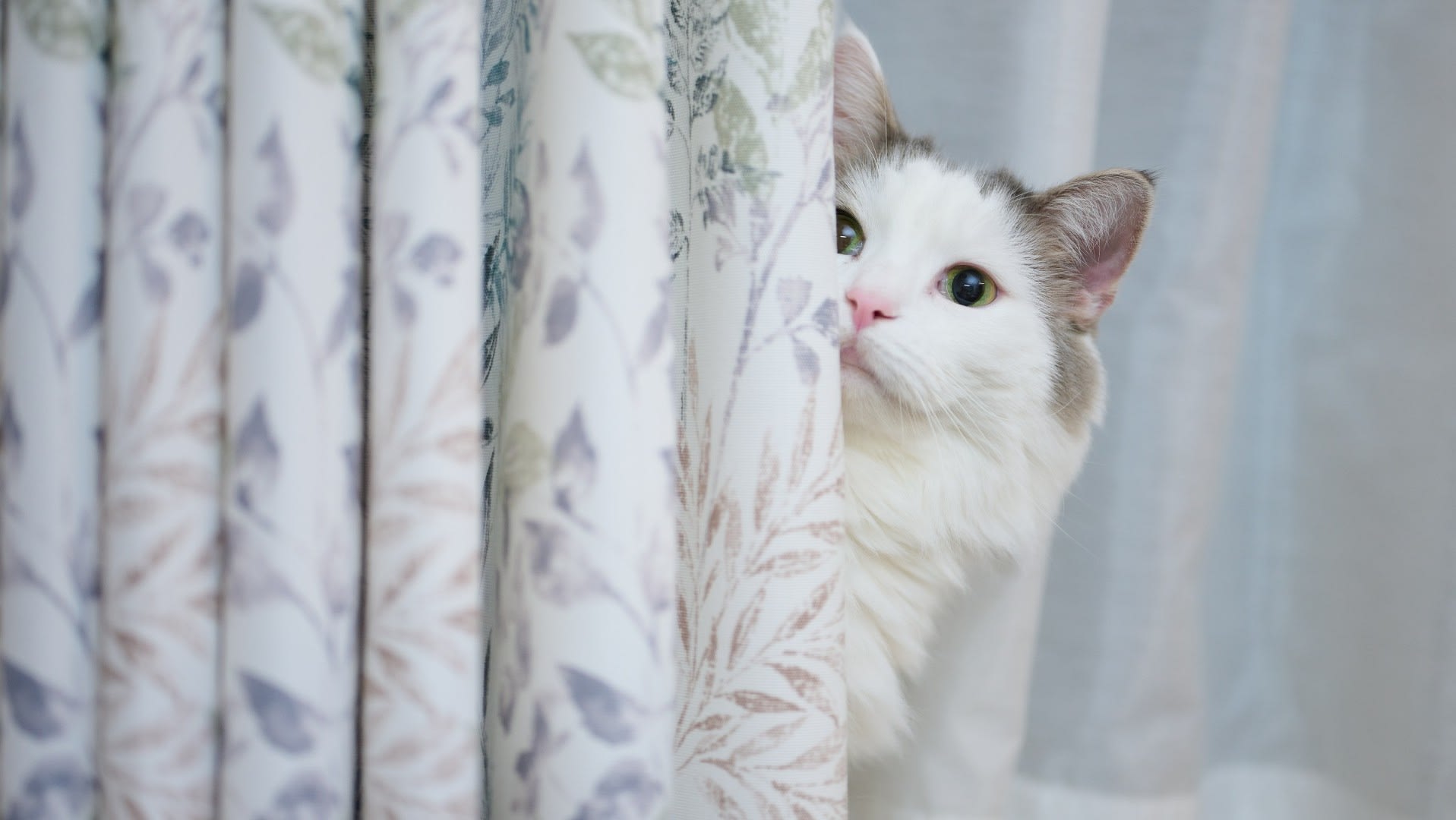AdobeStock_545025951