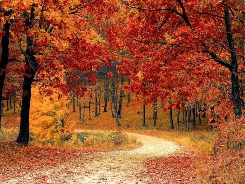 road-1072821_1280