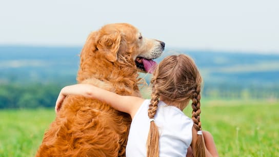 shutterstock_206647666