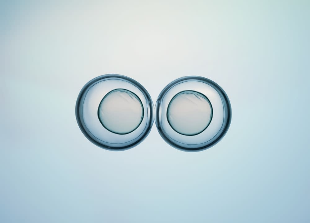 WhatsApp Image 2026-01-29 at 15