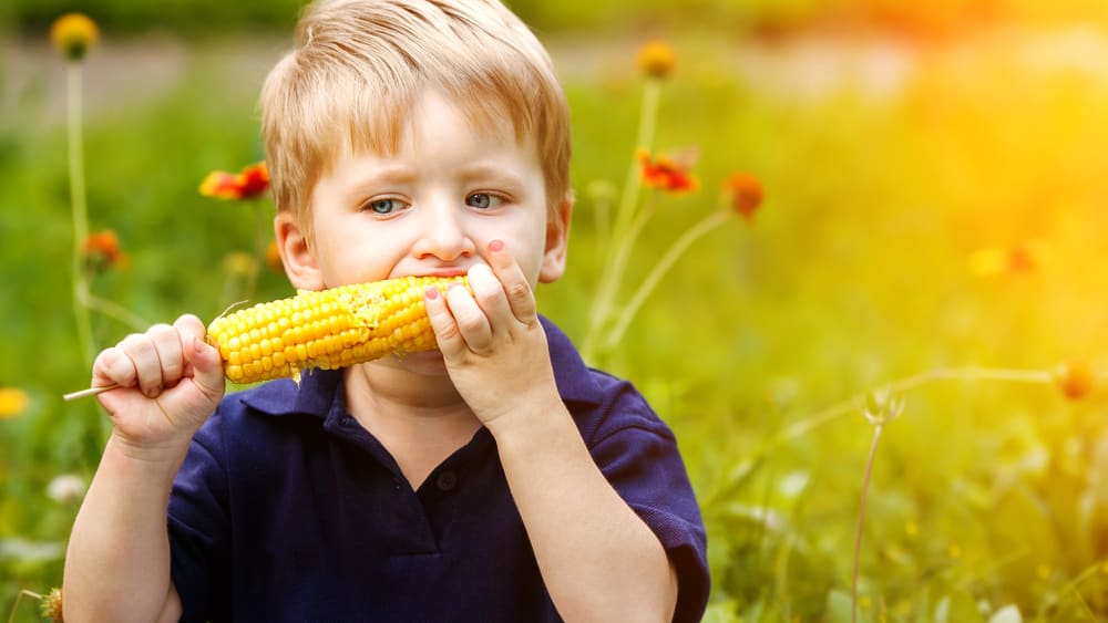 shutterstock_681850057