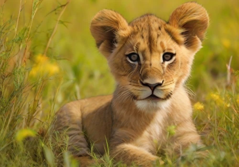 WhatsApp Image 2025-12-25 at 17