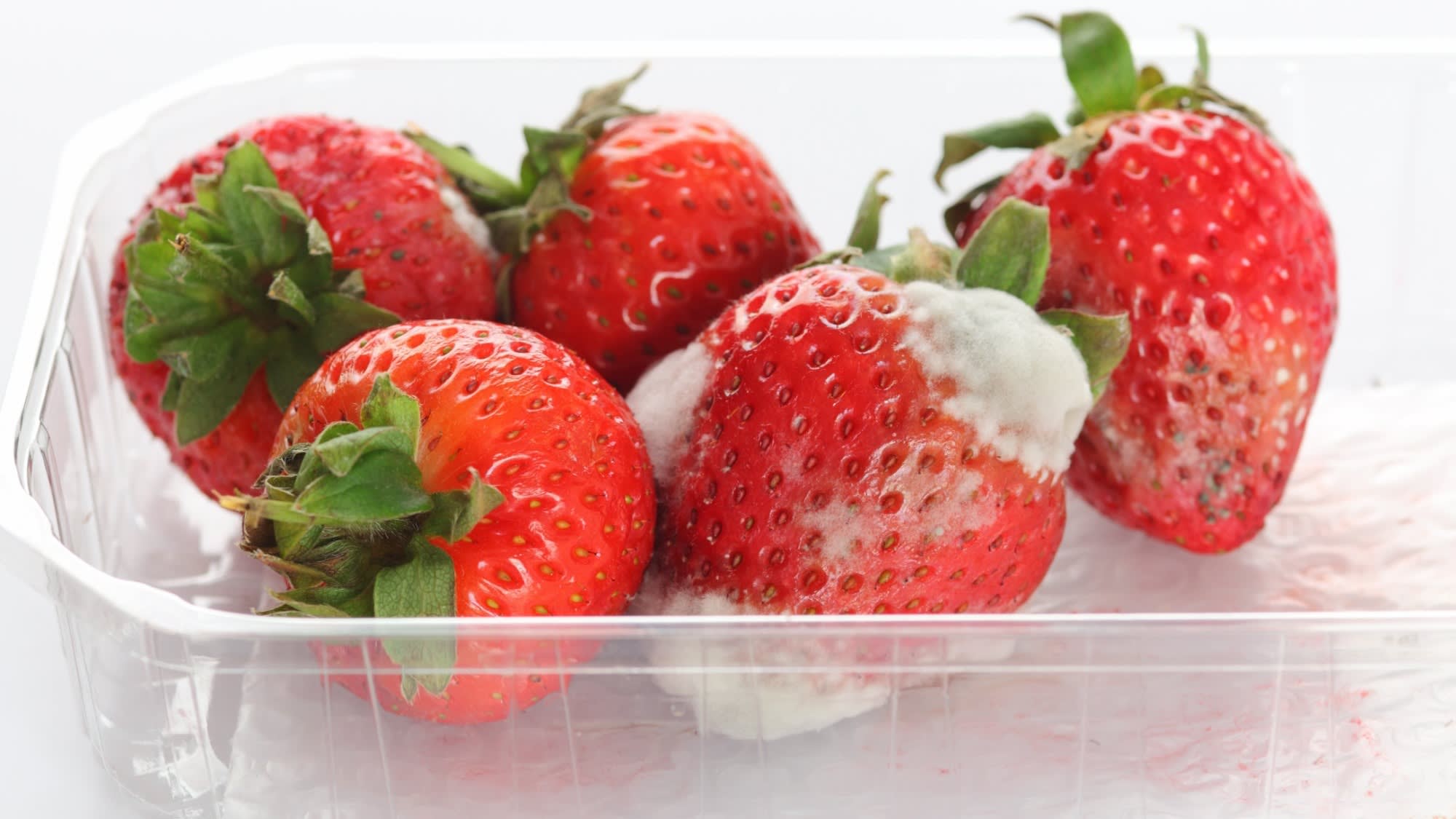 Mouldy Strawberries in punnet