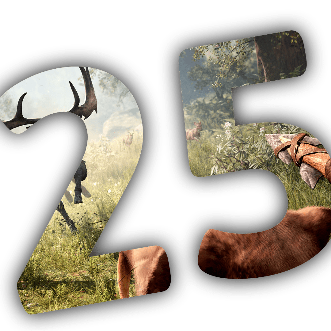 Far Cry Primal 25% Index