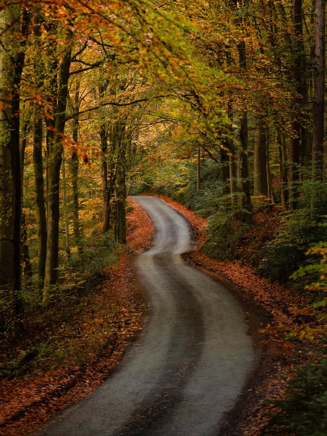 image-1761836370-1 2