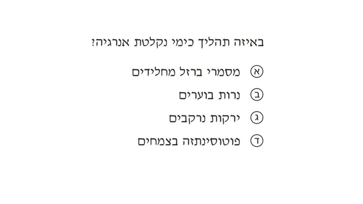 Image 07-12-2024 at 19