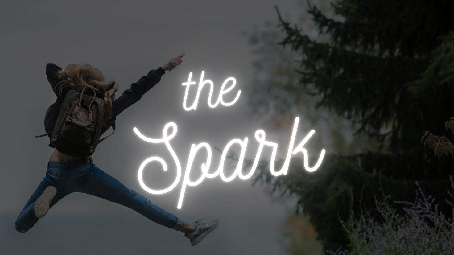 Voice Vibe - the Spark