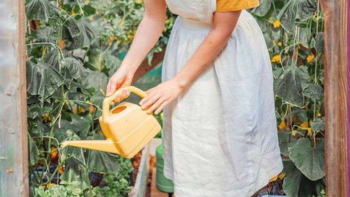 garden eae690e77156de4184f95aba0367aeb5