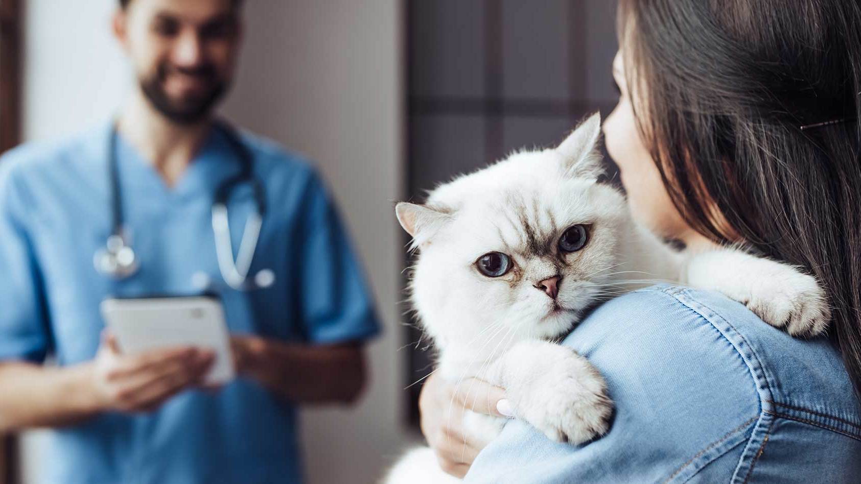 pet-advice-vetwest