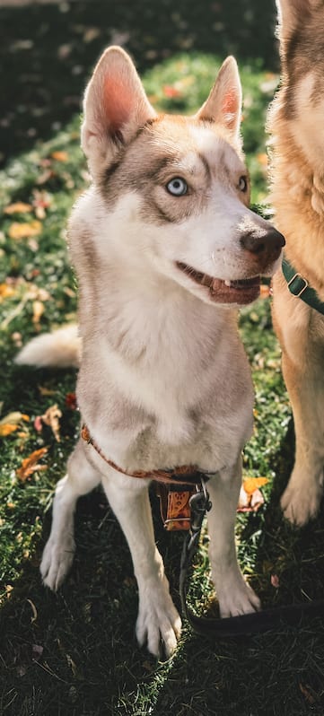 Akasha+Cosmo 3yrs 2025 photo by ShaynaLarsen