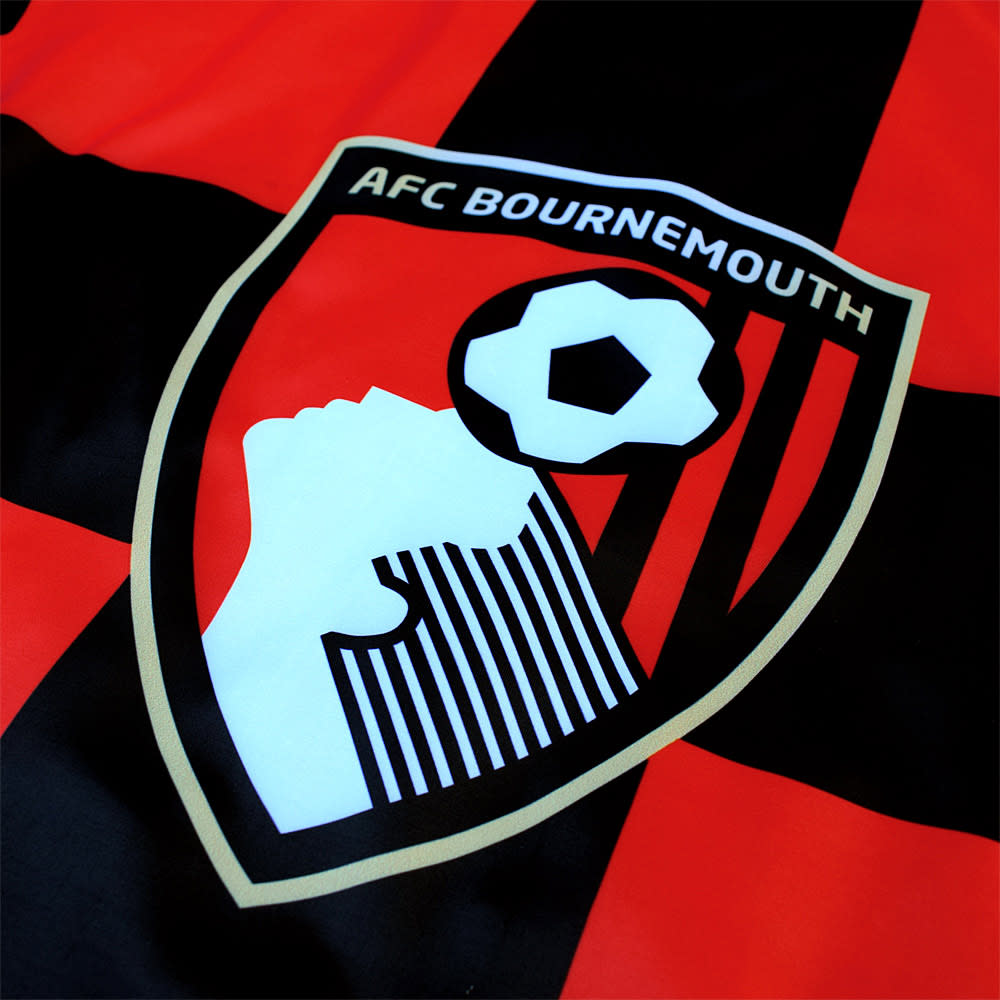 AFCBBIGFLAG-1