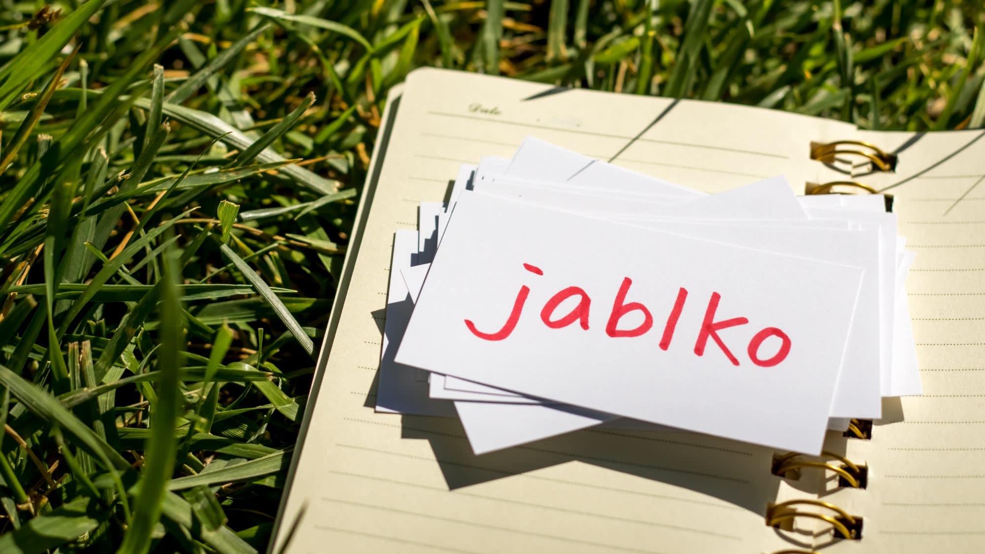 shutterstock_517832299