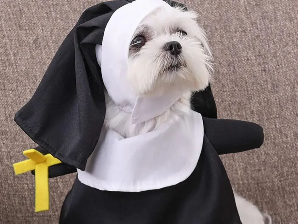 b8c6f1e5-ef33-4821-b52b-df1f360e55ab