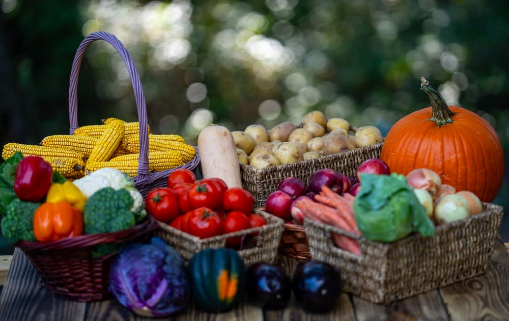 WhatsApp Image 2026-03-31 at 16