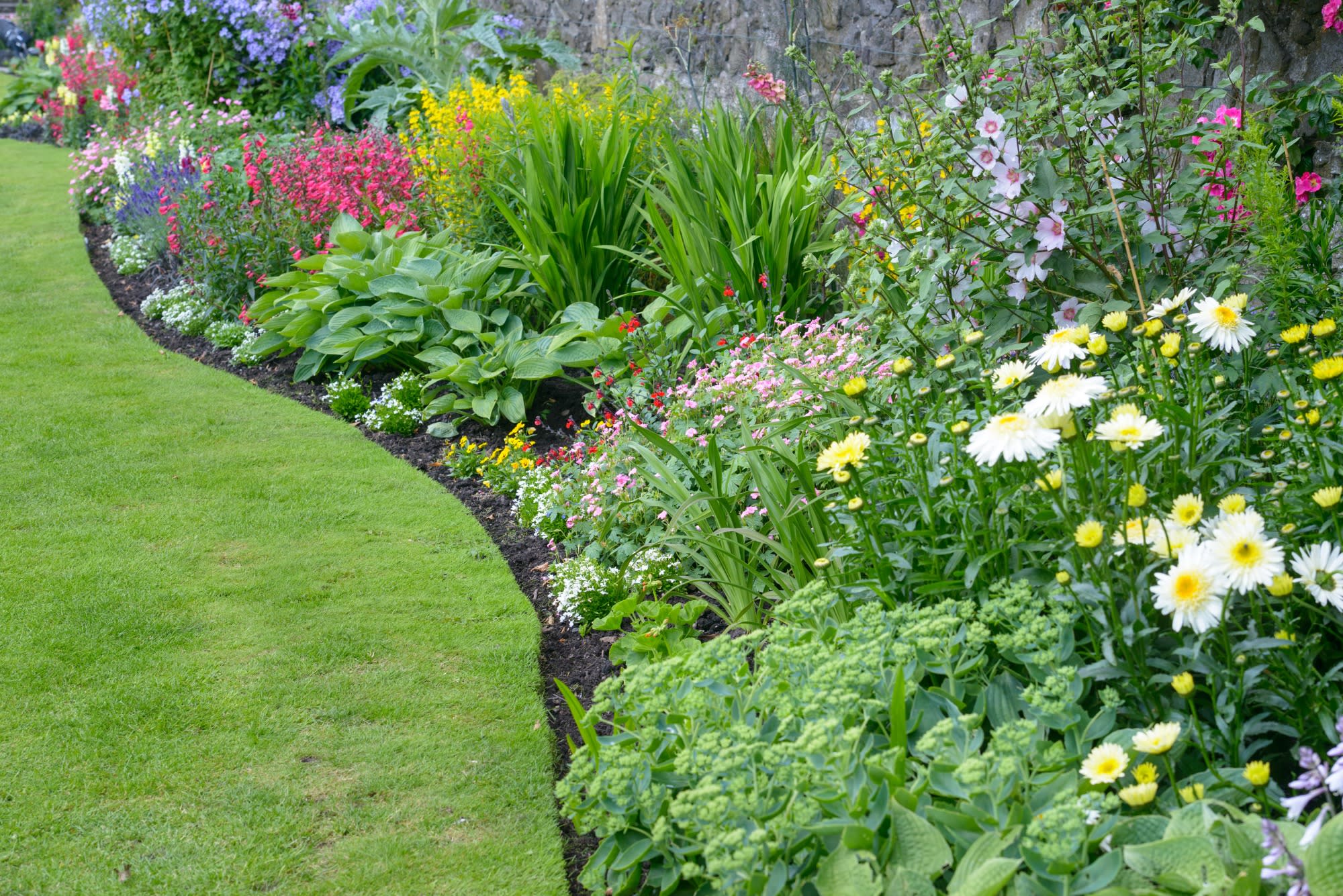 A flower border filled with many different types of flowers
