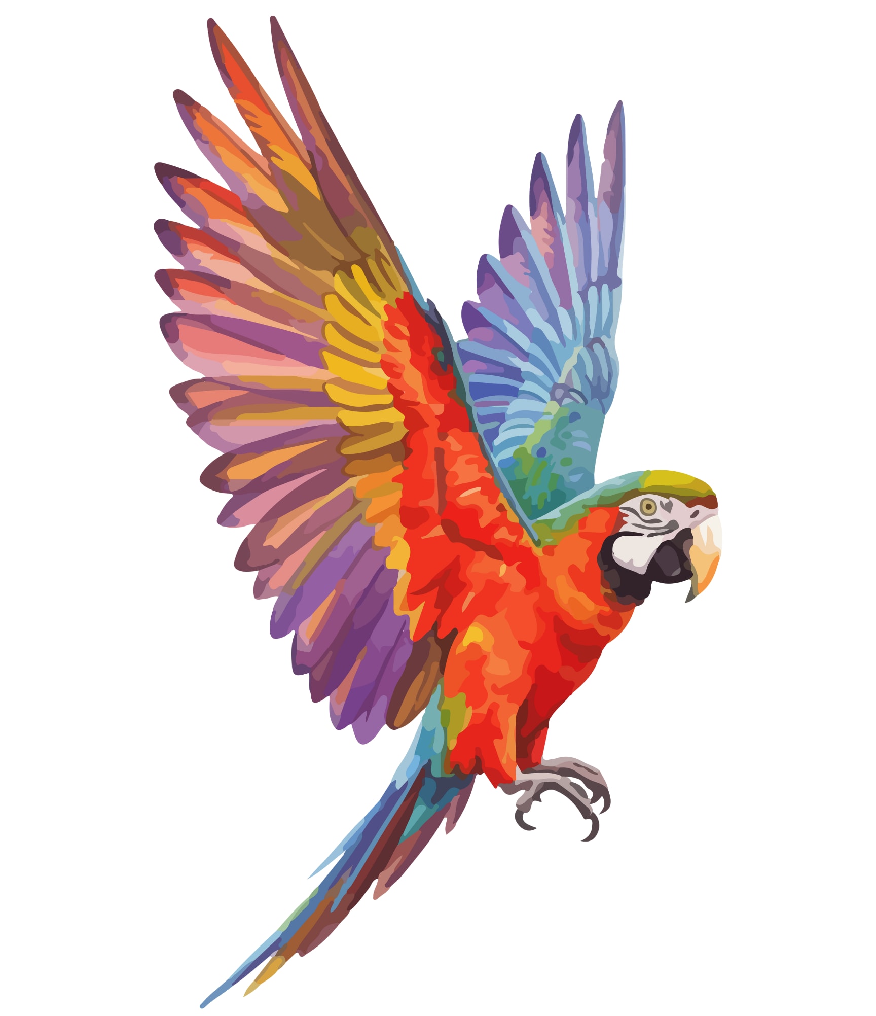 Animal - Bird