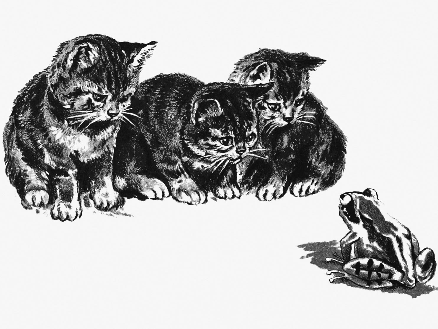 image-from-rawpixel-id-572666-jpeg