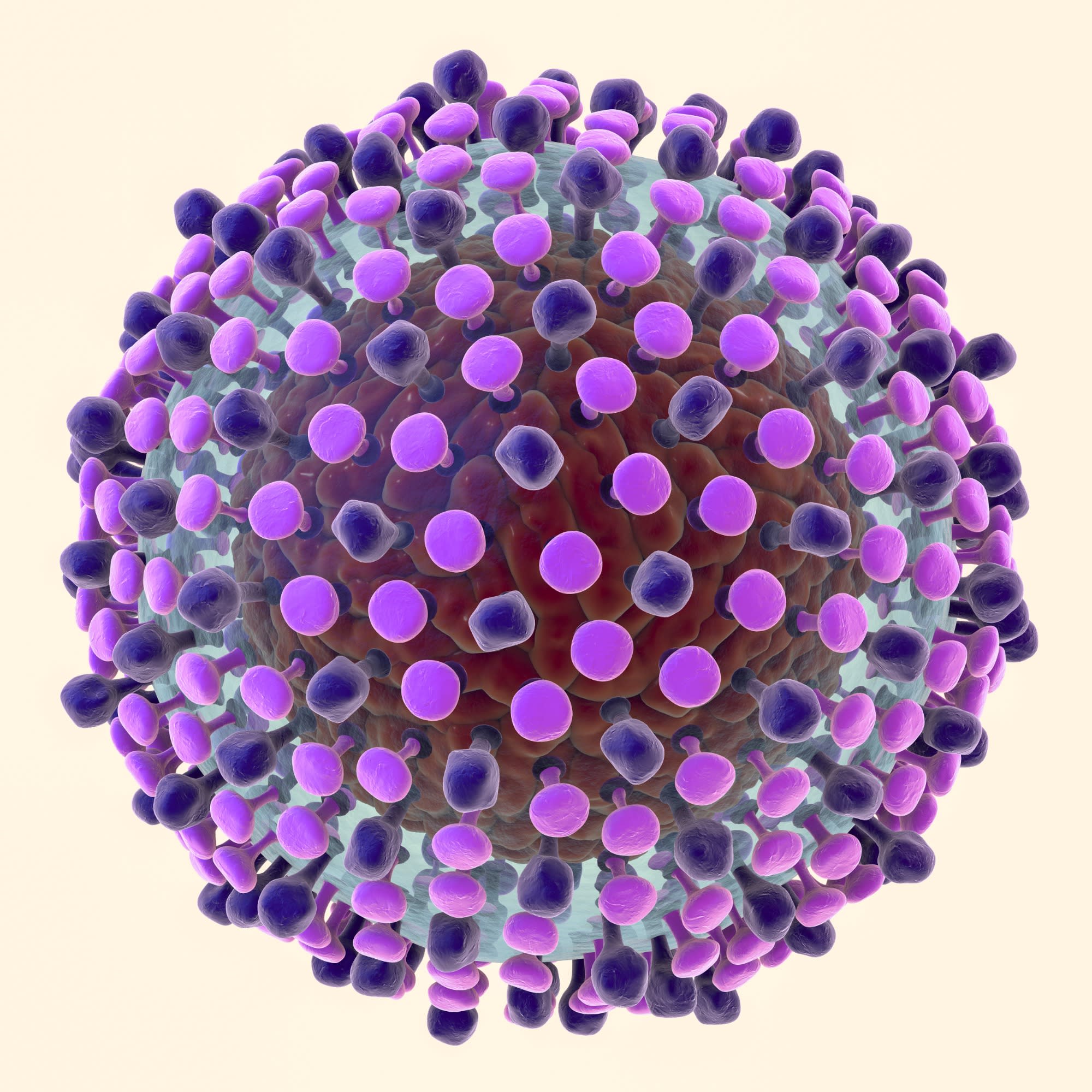 Hepatitis C virus