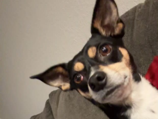 Milo