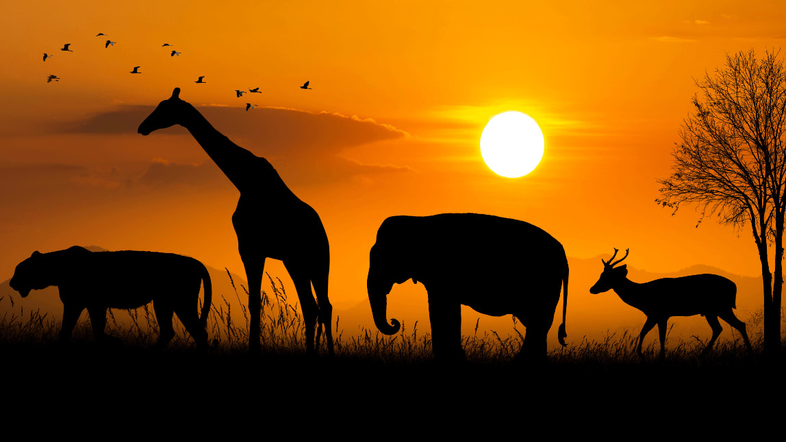 How-can-we-overcome-the-technical-obstacles-when-using-IoT-for-wildlife-conservation-1