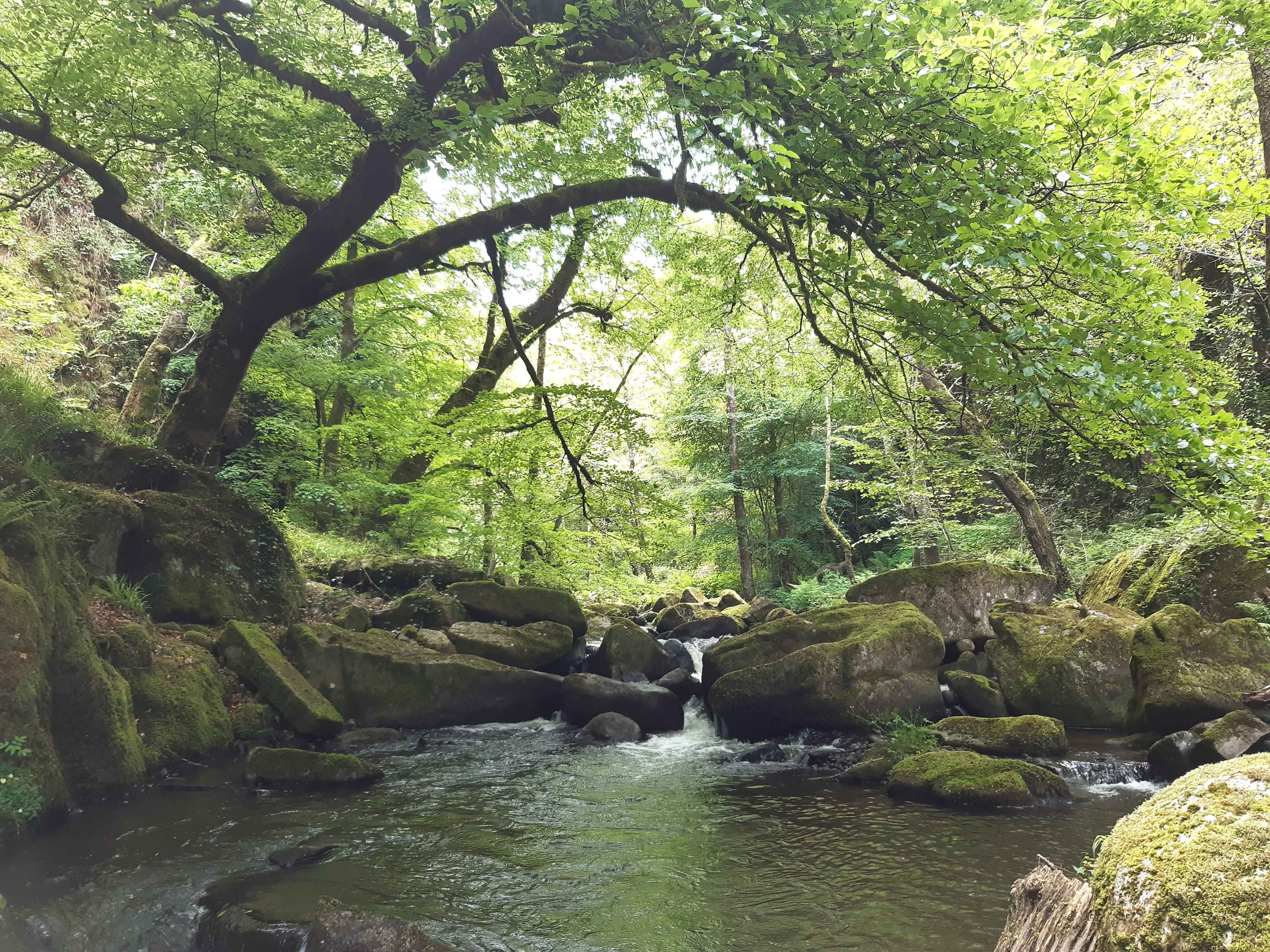 Selves_2025_photos BF (23)