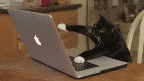 Photo from GIPHY