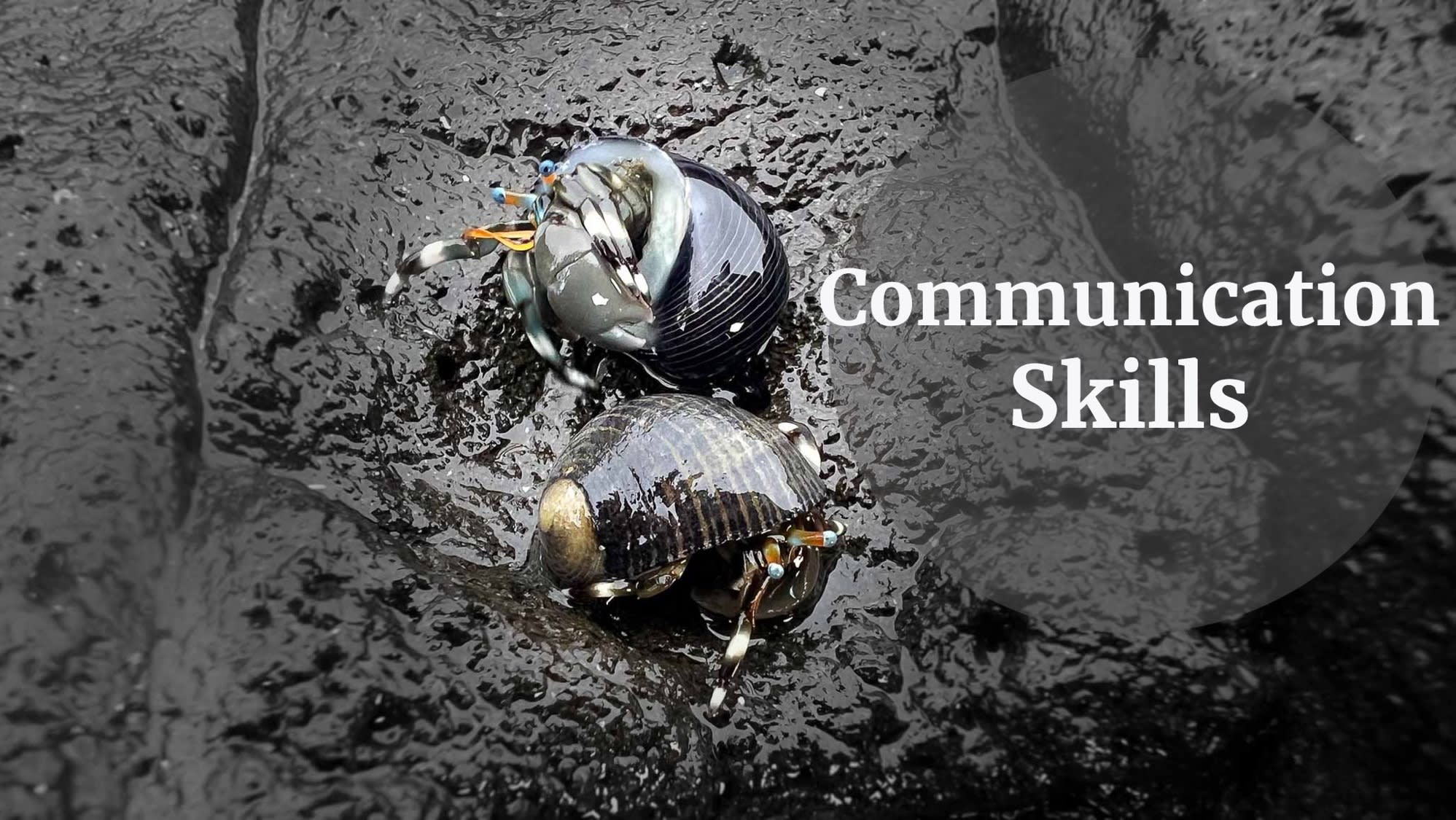 communication skills