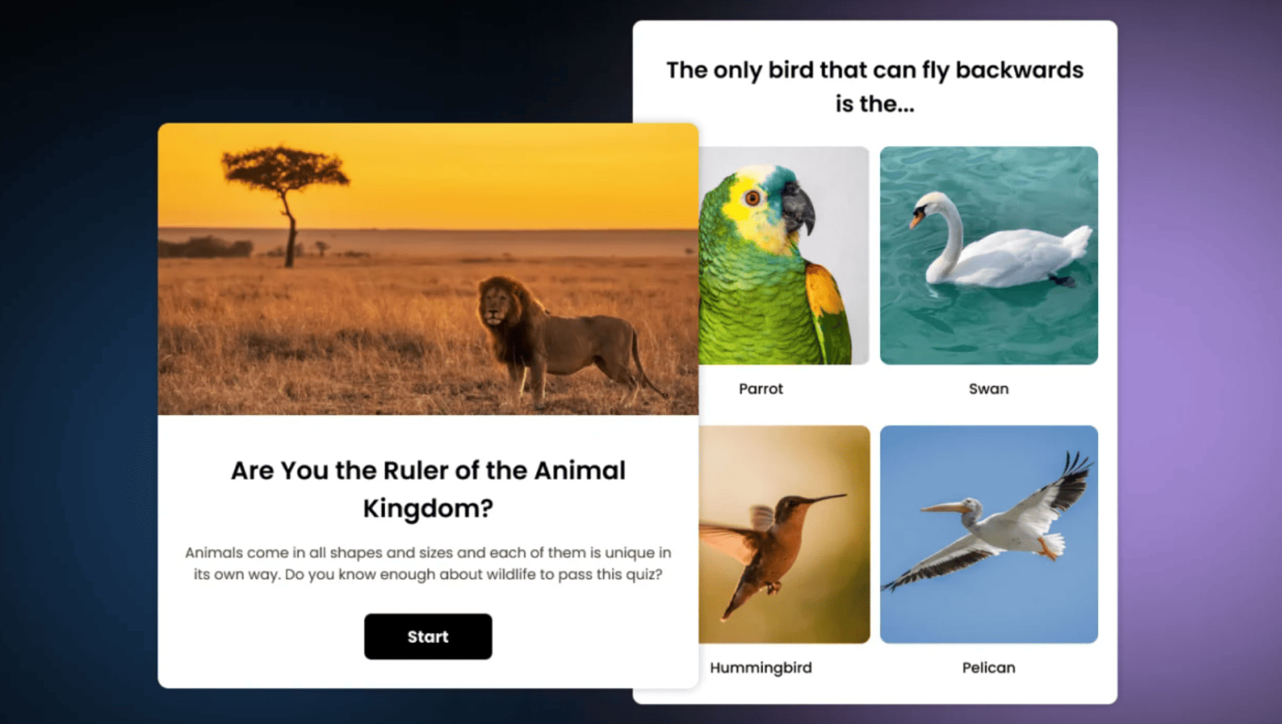 2026-02-12_16-31-43 (1)