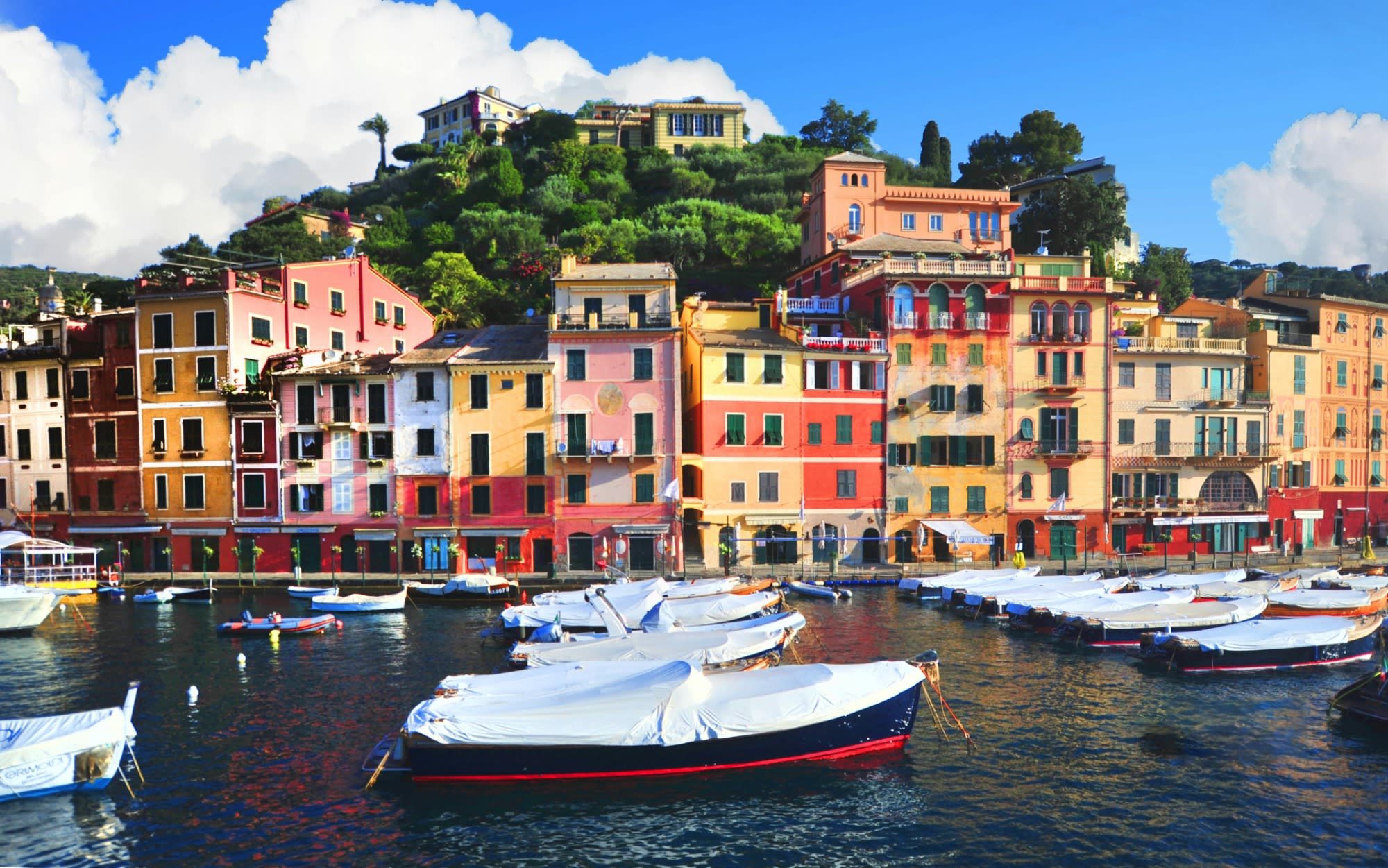 pexels-frans-van-heerden-201846-632523