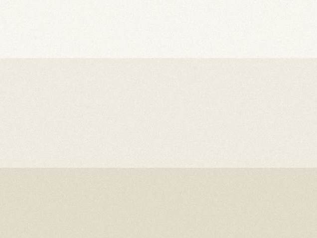 Bone White Monochrome Colour Palette + Hex Codes
