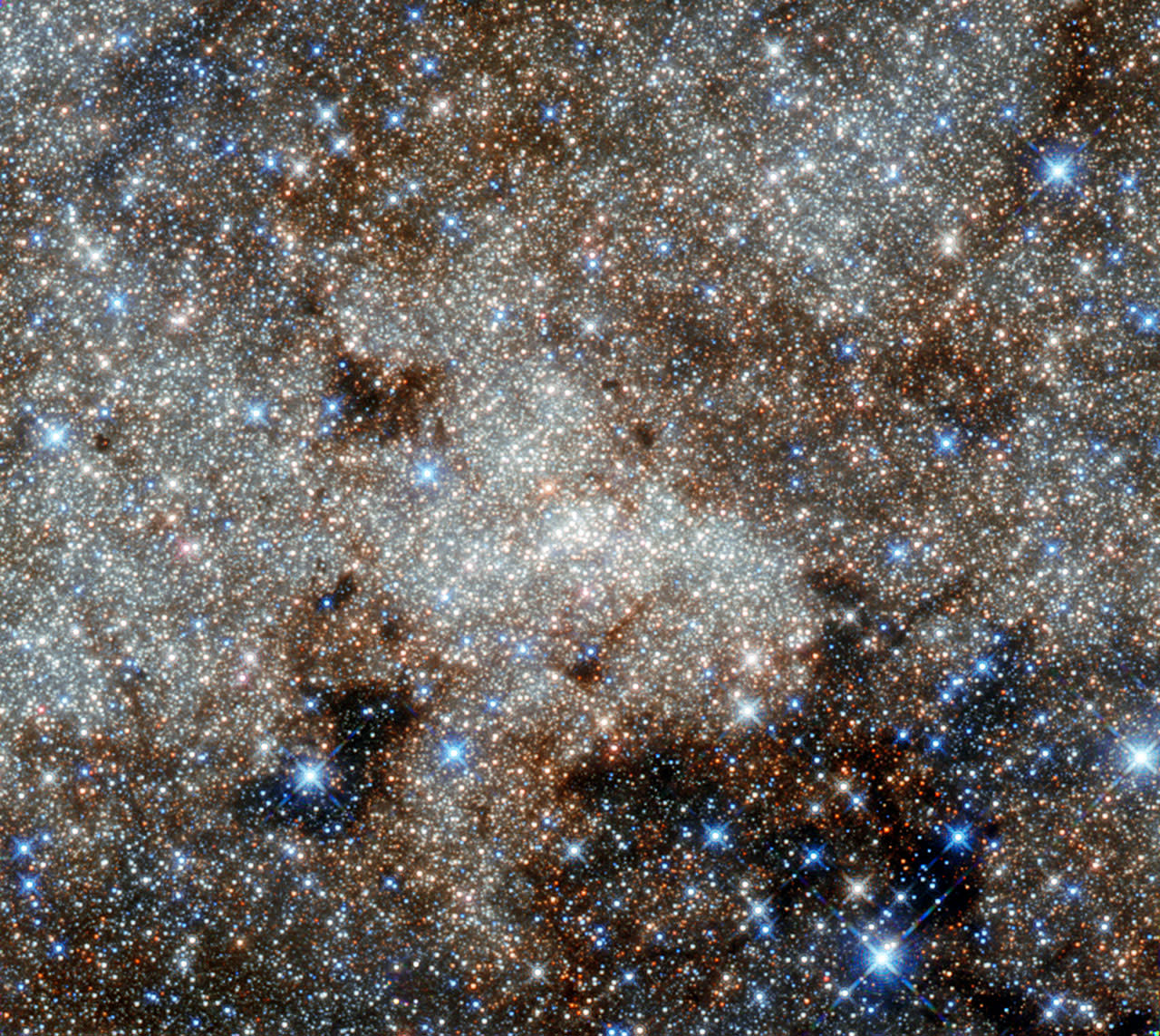 The Milky Way
