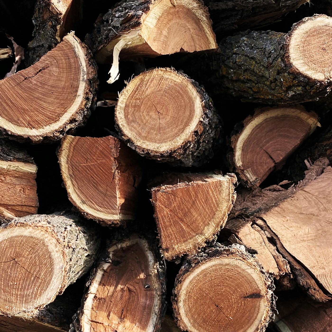 cord-of-wood