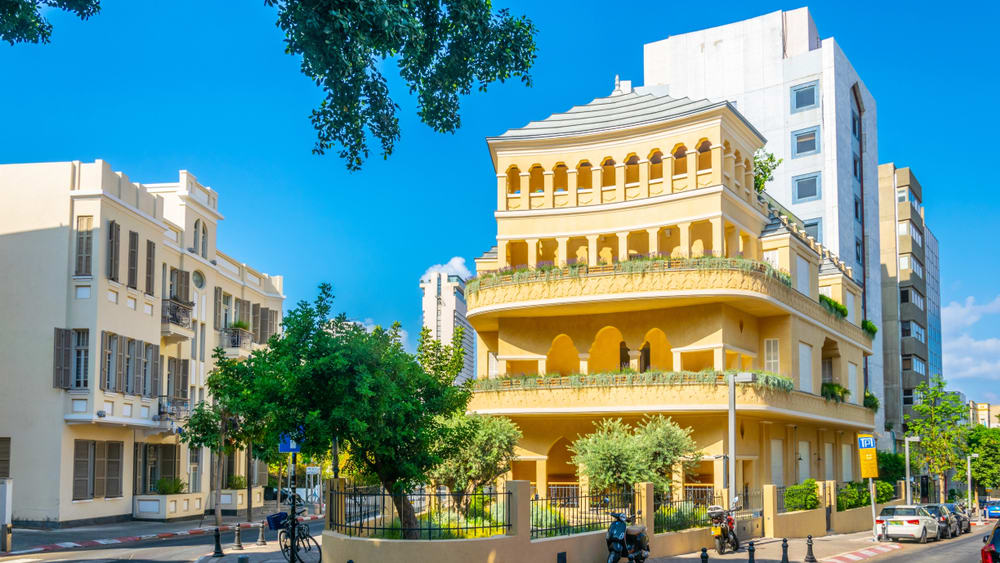 WhatsApp Image 2025-03-26 at 16